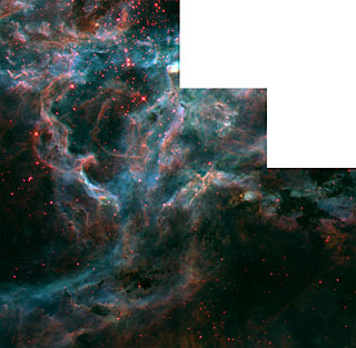 Inside The Tarantula Nebula