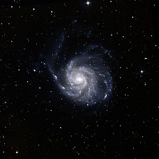 Messier 101: Lonely Spiral