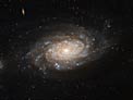 Hubble Spots a Busy Barred Spiral