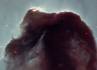 Eleven years in orbit: Hubble observes the popular Horsehead nebula