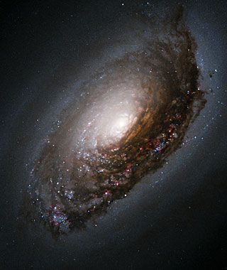 An Abrasive Collision Gives One Galaxy a 