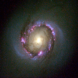 Galaxy NGC 4314 (Hubble View)