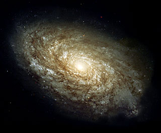 Magnificent Details  
in a Dusty Spiral Galaxy