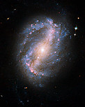 Barred Spiral Galaxy NGC 6217