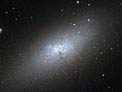 A Peculiar Compact Blue Dwarf Galaxy