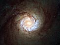 A hungry starburst galaxy