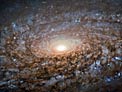 Hubble shears a "woolly" galaxy