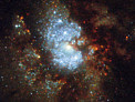 Hubble’s Hidden Galaxy
