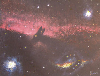 Donkey Nebula