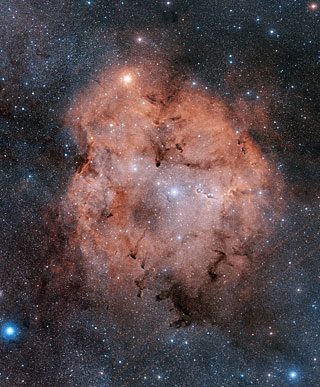 IC1396 and Elephant Trunk Nebula