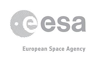 ESA Signature Silver
