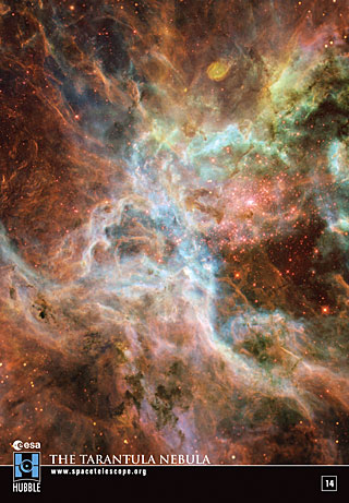 Sticker 14: The Tarantula Nebula (SOLD OUT)