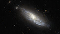 Pan: Hubble explores explosive aftermath in NGC 298