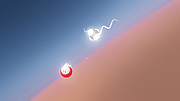 Light interacting with atmosphere